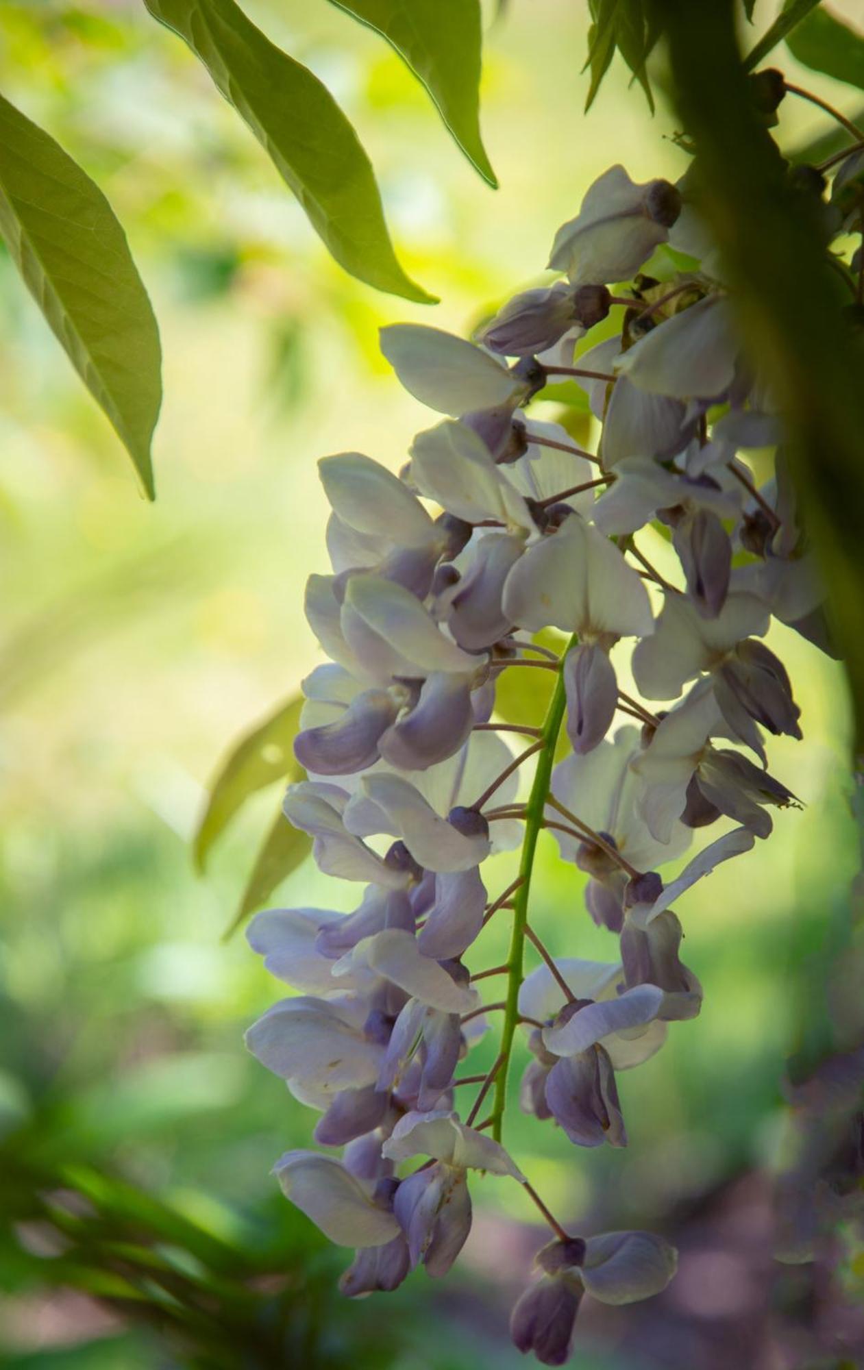 Gardener'S Cottage Lancaster Ngoại thất bức ảnh